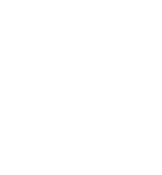 Dollar Tree Discount Variety Store